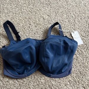 Women's Blue Bra